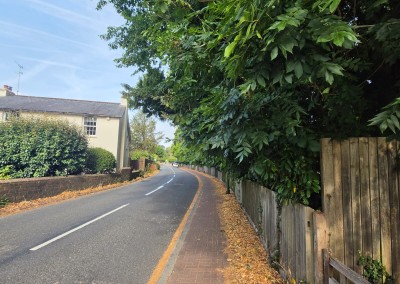 Emergency Hedge Cutting Following a Council Notice