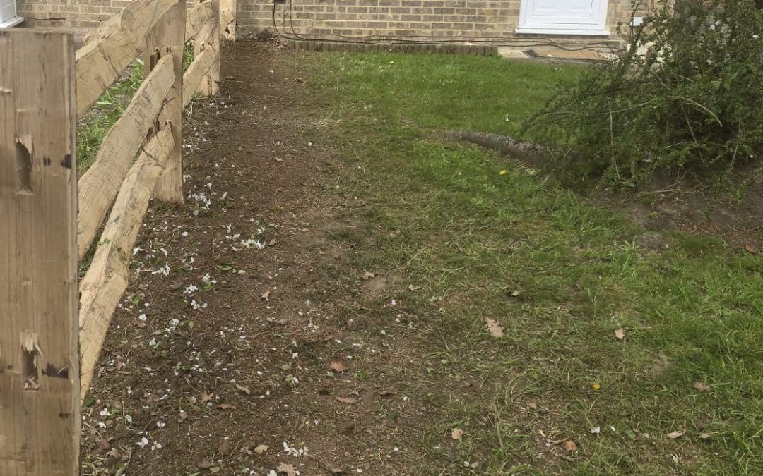 Hedge Removal and Tree Reduction for Letting Agency in Uckfield