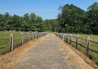 Surface prior to work - a flinty uneven track